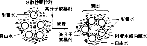 圖6-16絮團的模型