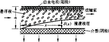 圖8-31粒子的移動模型和濃度極化層